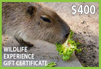 Wildlife Experience $400 Gift Certificate
