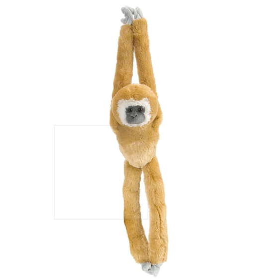 Hanging Gibbon