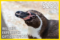 Wildlife Experience $250 Gift Certificate