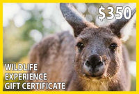 Wildlife Experience $350 Gift Certificate