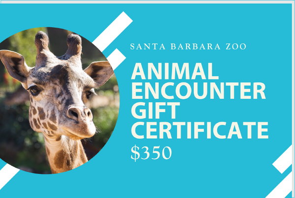 Animal Encounter Gift Certificate $350