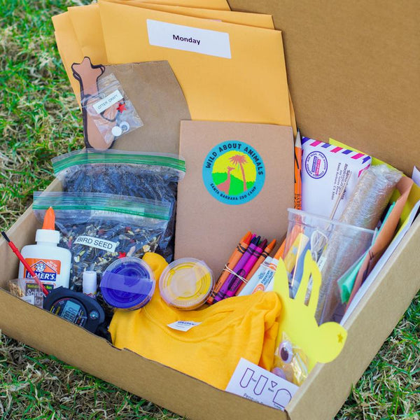Camp in a Box: Wild About Animals