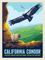 Ranger Station Posters