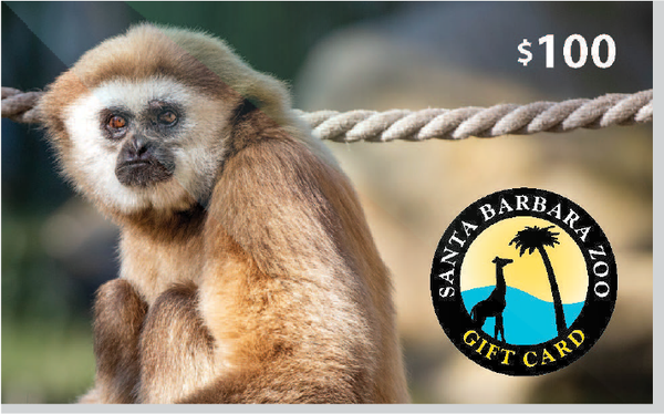 SB Zoo Gift Card $100