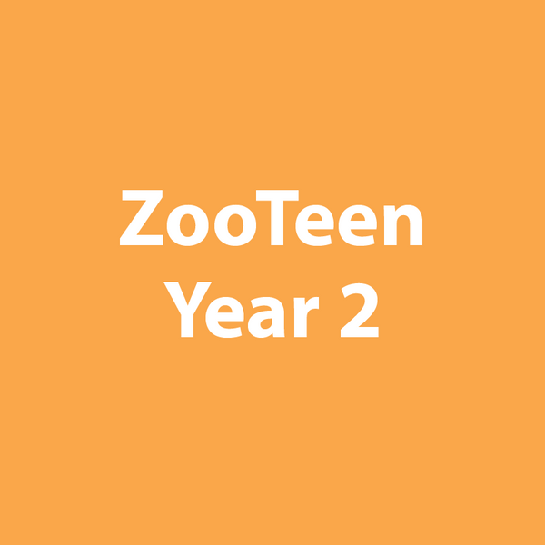 Teens - Year 2